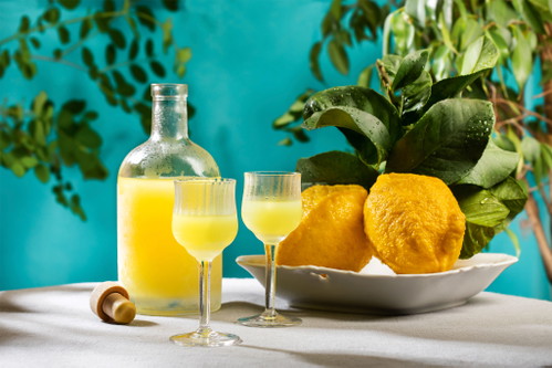 Frisch, vollreif und sonnenverwöhnt müssen sie sein, die Zitronen für einen Limoncello. Nur so geben ihre Schalen das volle Aroma ab.