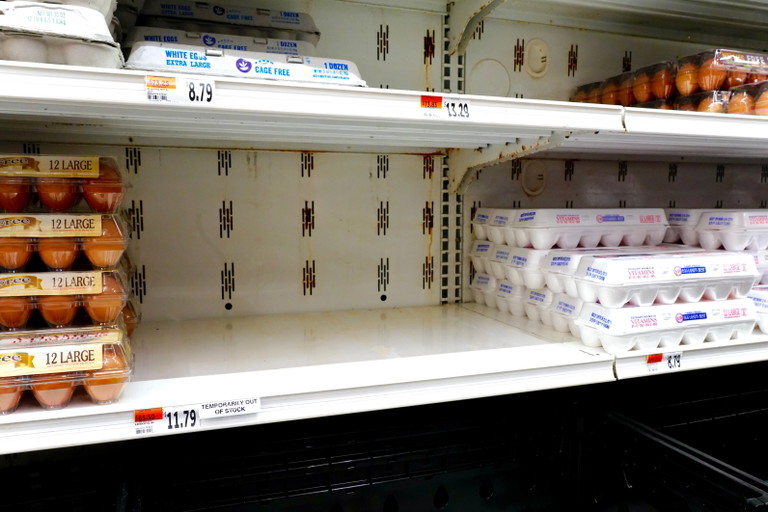 In den USA explodieren die Eierpreise: Bis zu 9 Dollar pro Dutzend – mancherorts gibt es bereits Kaufbeschränkungen.
