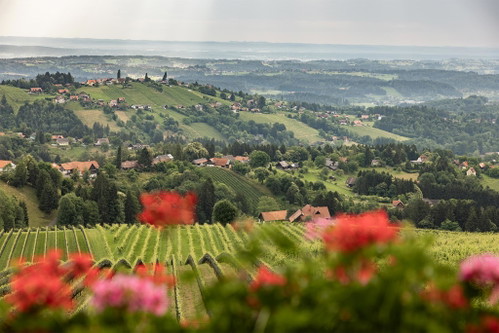 Blick vom Buschenschank über das weststeirische Hügelland bis hin nach Slowenien.