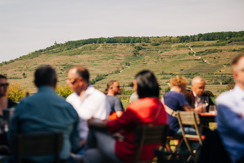 Impressionen der Tour de Vin im vergangenen Jahr.