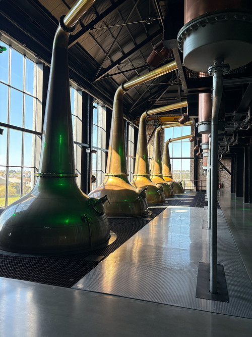 Blick auf die neuen Brennblasen der erweiterten Bushmills Distillery