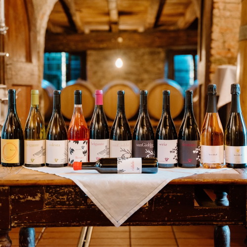 I vini dell'agriturismo La Costa
