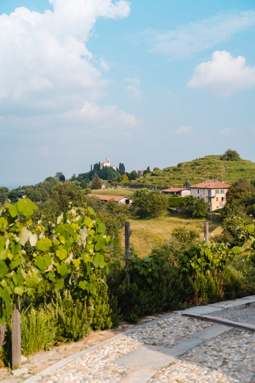 Le colline di Montevecchia