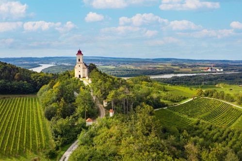 Rund um die Wetterkreuzkirche bei Hollenburg liegen die Weingärten auf Sandstein.