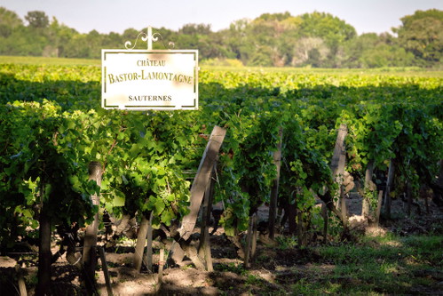 Bordeaux ist heute eine der dynamischsten Appellationen für Crémant.