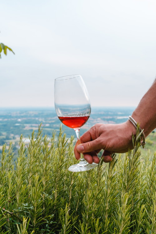 Vino e rosmarino
