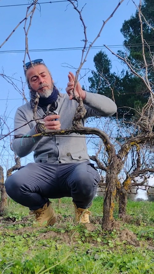 Angelo Bagorda