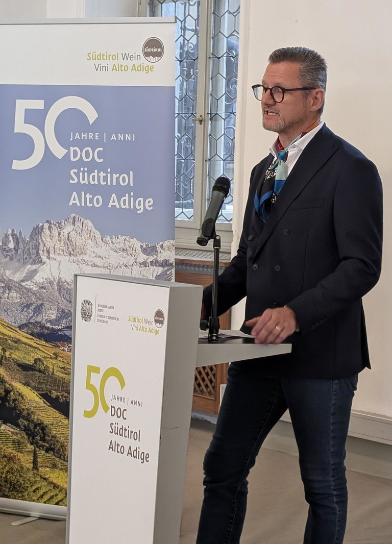 Martin Foradori Hofstätter, Vice Presidente