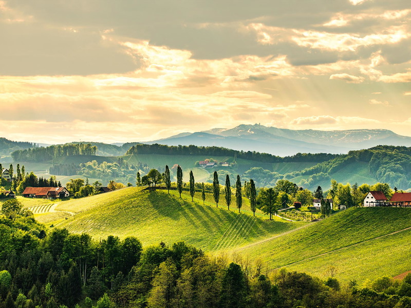 Where even the landscape is a delight: the South Styrian Wine Road, with its charming taverns, wineries, and romantic squares.