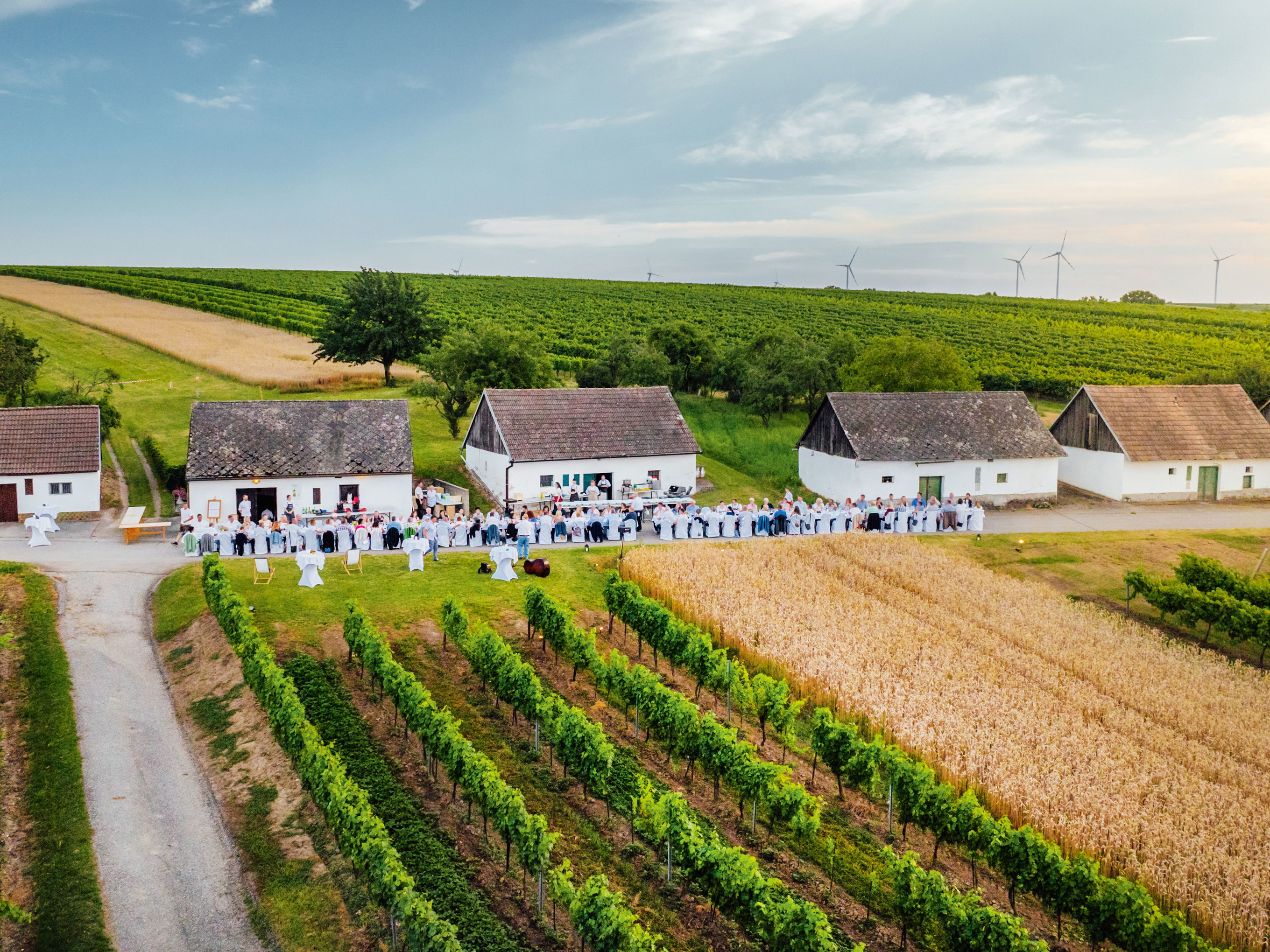 Inmitten der Kellergassen wird Wein zum Erlebnis – authentisch, gesellig und unverfälscht.
