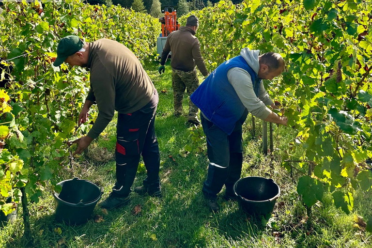 Der Verein TAGA bietet Menschen mit Behinderung neue Arbeitsplätze im Weinbau auf Gut Avelsbach.