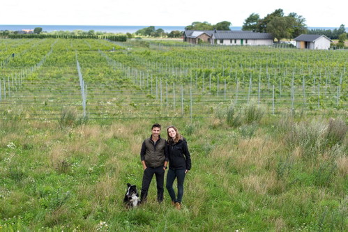 Romain Chichery und Emma Berto haben Weinbau im fran­zösischen Montpellier studiert und leiten heute das Weingut Thora Vingård.