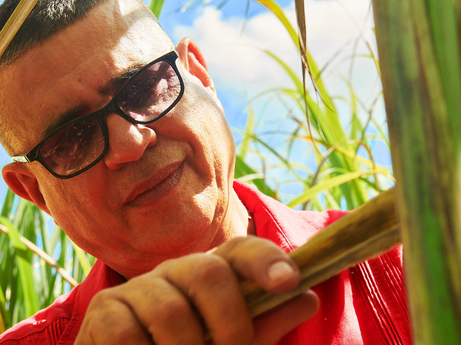 In qualità di uno dei quattro Maestri del Ron, Asbel Morales accompagna tutte le fasi di produzione dell'Havana Club. È anche il creatore della "Collezione Icónica".