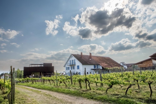 Weiß-blauer Himmel am bayerischen Bodensee: Weingut Kurek mit Vinothek und Weinbar in Nonnenhorn.