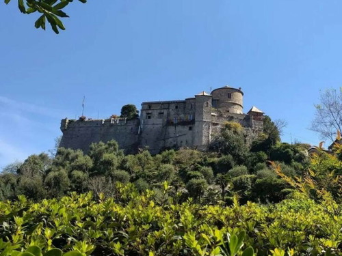 Castello Brown