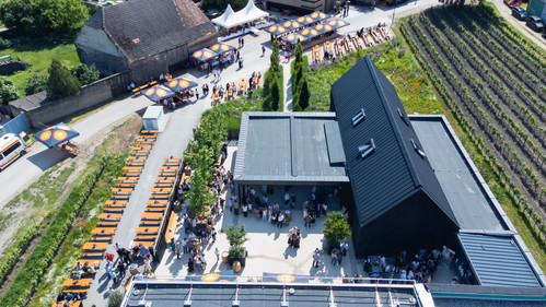 Das renommierte Weingut Schwarz in Andau