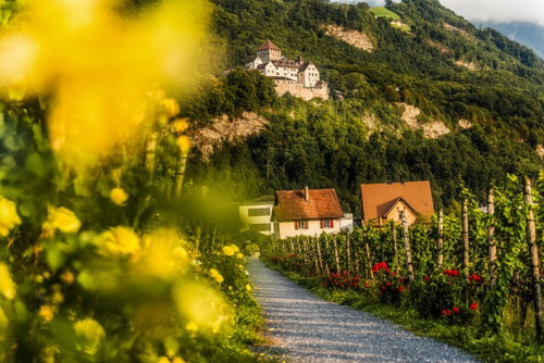 Das Schloss Vaduz auf der Strecke von Balzers nach Vaduz.