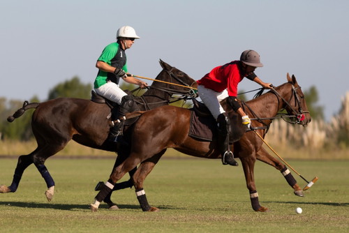 Polo ist eine der beliebtesten Sportarten in Argentinien – die Engländer brachten es mit, als sie zum Eisenbahnbau ins Land kamen.