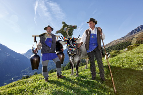 Beim traditionellen Almabtrieb der »Almwirtschaft Gampe Thaya« werden die Tiere festlich herausgeputzt.