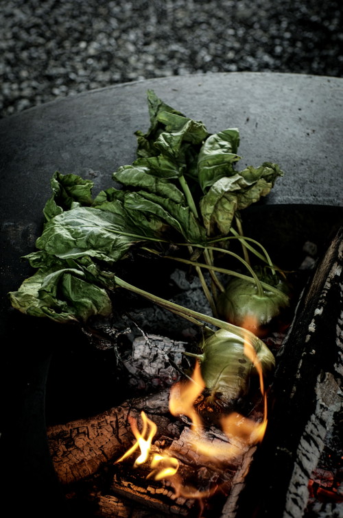 Kohlrabi im Feuerring.
