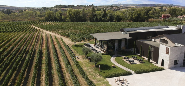 La cantina di Enio Ottaviani