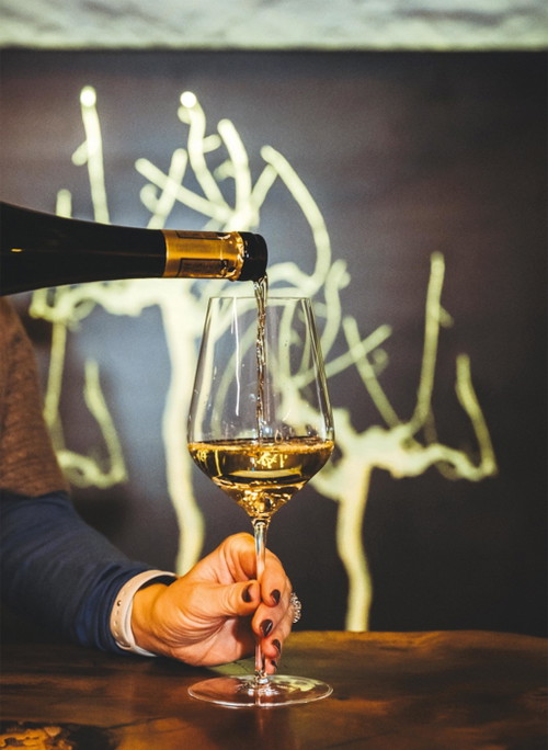 Das Weingut Kartäuserhof glänzt mit dem eleganten Riesling Ried Achleiten 2024.