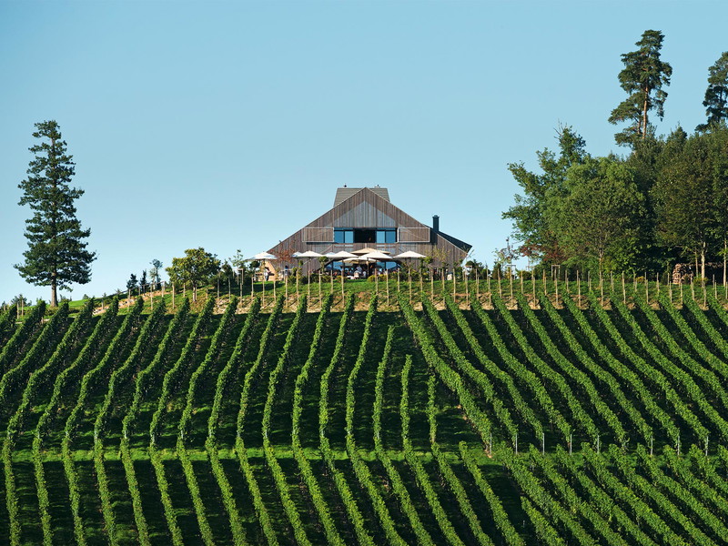 Das Weingut Schmidt am Bodensee. 