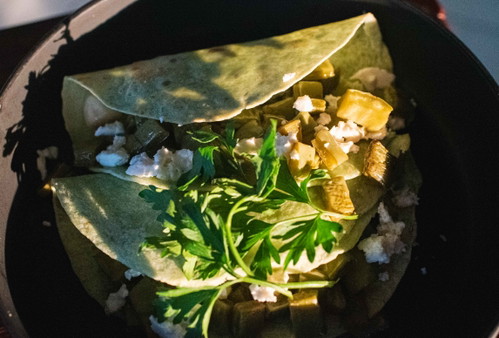 Tacos con Nopales