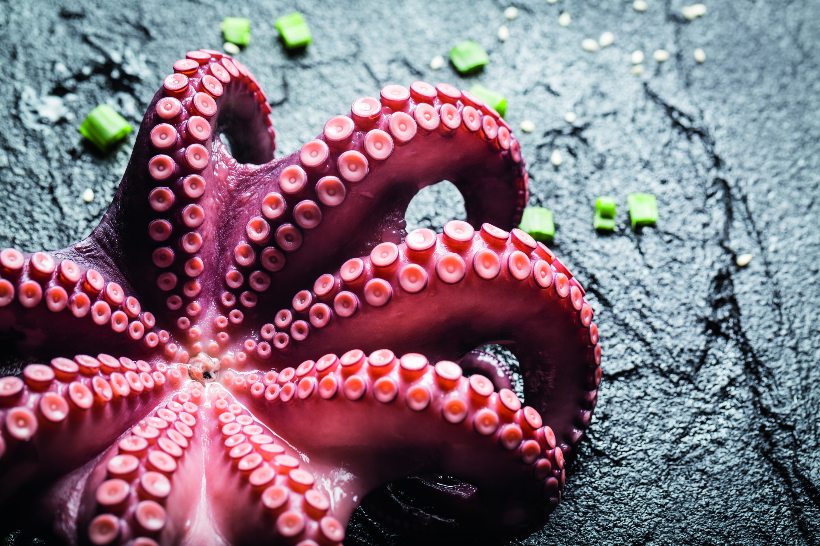 How to prepare octopus - Falstaff