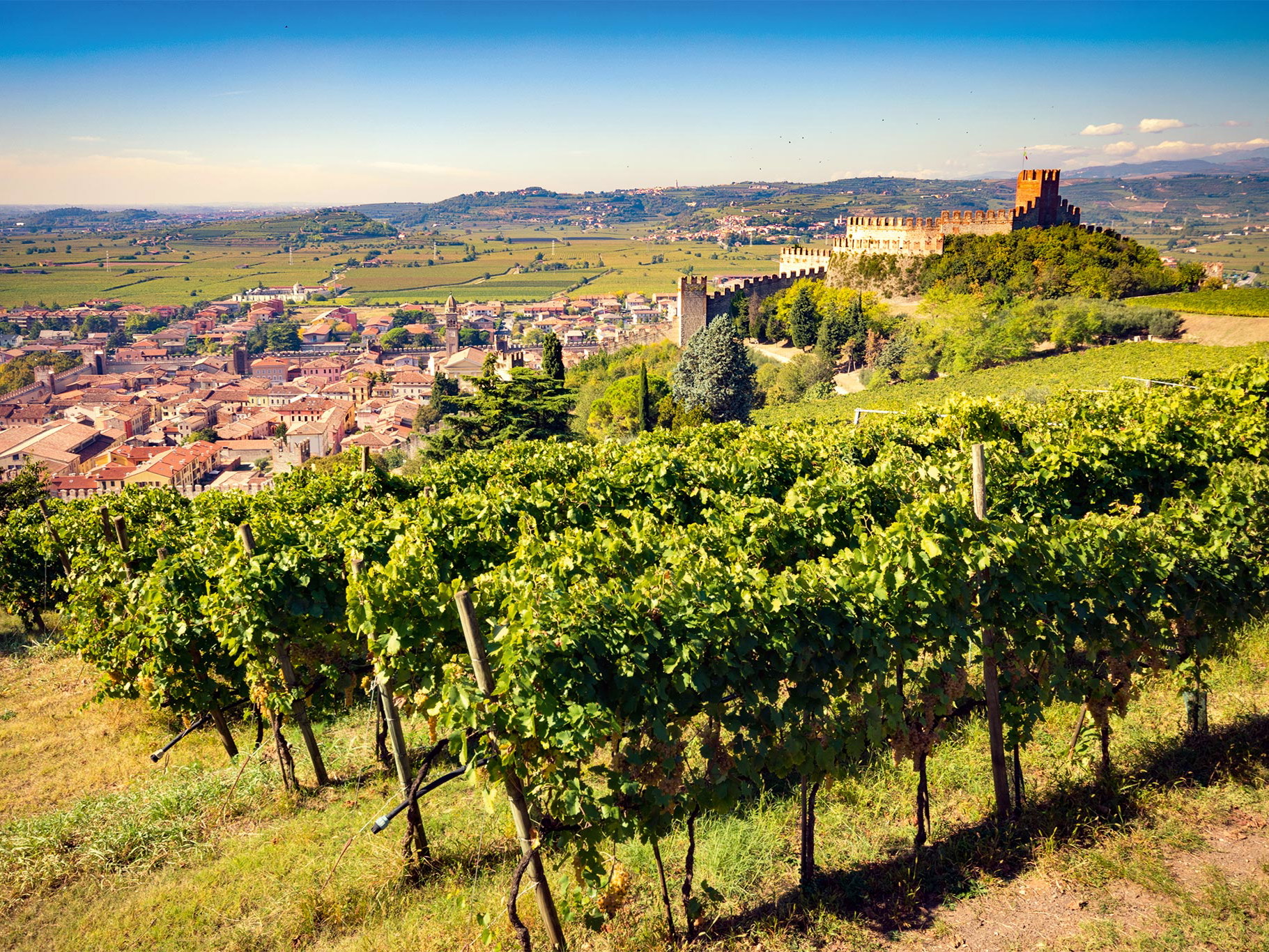 Soave – ein malerisches Städtchen, umgeben von sanften Hügeln und weitläufigen Weingärten.