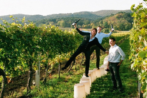 Der beste Rotgipfler: Weingut Alphart