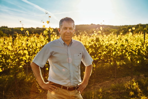 Weingut Tinhof: Der beste Neuburger