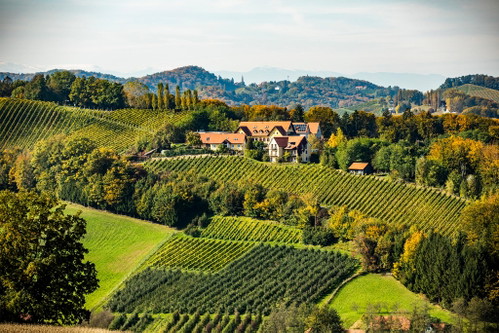 Die Weingut Sattlerhof.