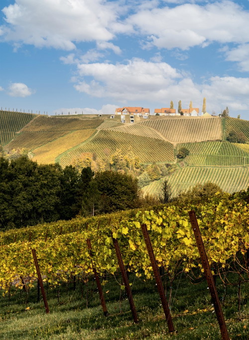 Die regionaltypische Skyline der Domaine 1196 fügt sich perfekt in die Umgebung ein.
