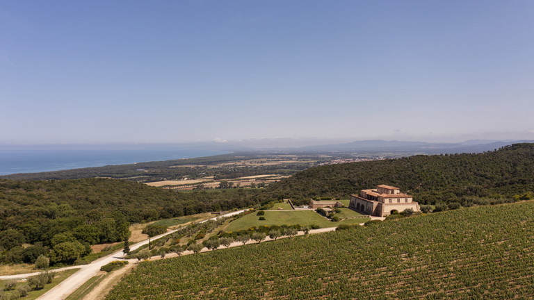 Aus Bolgheri: Das Weingut Argentiera, spiegelt die Nähe zum Tyrrhenischen Meer wider.