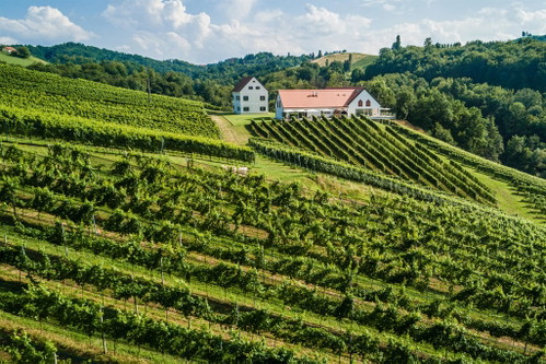 »Weinschmiede 18«