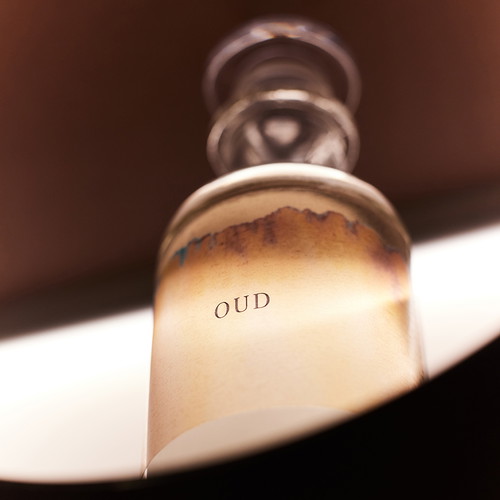 Oud, auch bekannt als Agarholz, ist ein seltener und wertvoller Duftstoff, der aus dem Kernholz des Adlerholzbaums gewonnen wird.