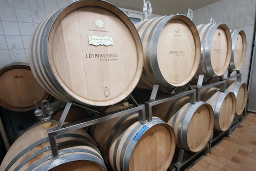 Der Riesling x Madeleine Royale von Lüthi wird im Holzfass vergoren und reift  dort anschliessend acht Monate bei regelmässiger Bâtonnage.