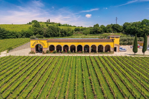 Monte Tondo, ursprünglich bekannt für ihren Soave aus der gleichnamigen Lage, überzeugt immer mehr auch mit ihrem spannungsgeladenen Lessini Durello.