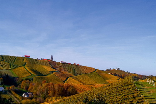 Der Sernauberg vereint Wein, Kulinarik und Erholung – mit der »Domaine 1196« als Teil dieser genussvollen Landschaft.