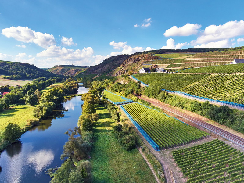 Im Nahetal, wie hier in der Oberhäuser Lage Brücke, Weingut Dönnhoff, wachsen fruchtige Weine von saftiger Spannung und großer Eleganz.