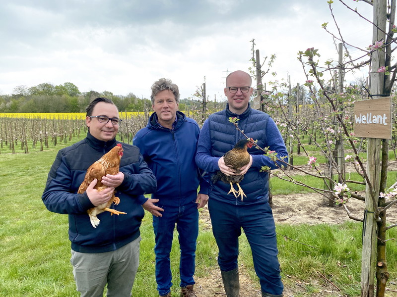 Beim Besuch der Hühner-WG auf Gut Diepensiepen: Holger Rohkohl, Christian Benninghoven und Philipp Ferber.