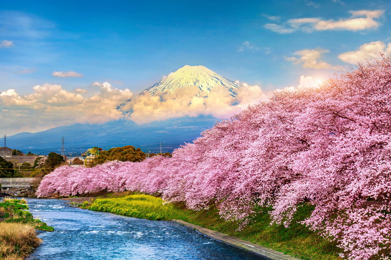 Auch Japan durfte im Vorjahr viele Tourist:innen willkommen heißen.