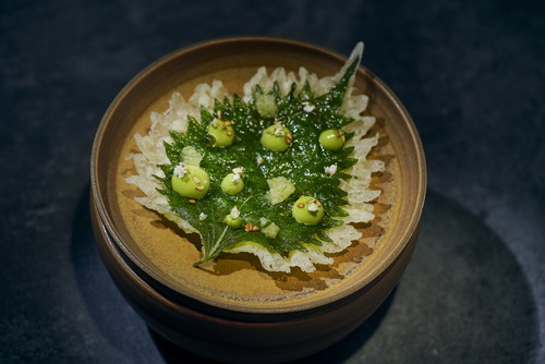 Shisoblatt-Tempura mit Schlangengurke und Wasabi-Mayonnaise.