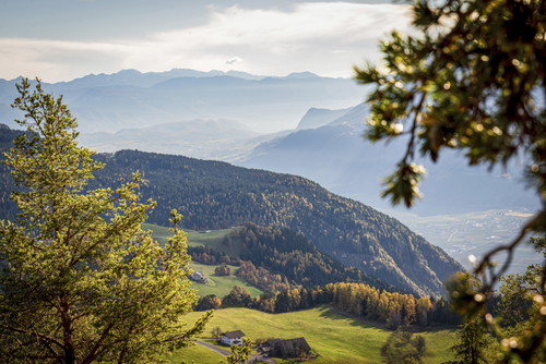 Der »Rauthof« verwöhnt nicht
nur den Gaumen, sondern auch die Augen – mit Blick auf das Etschtal.