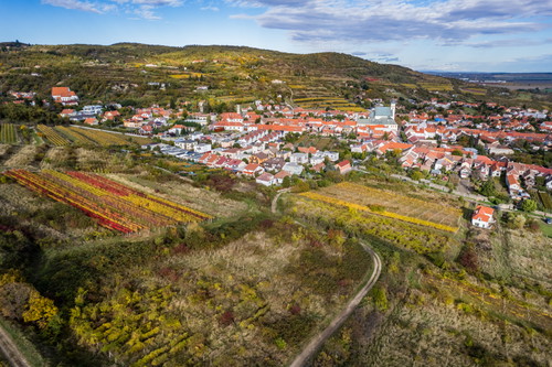 WINESAFARI