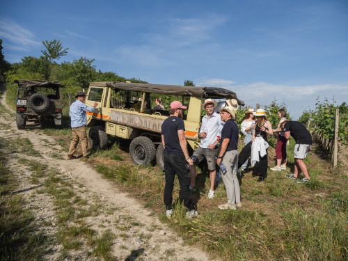 WINESAFARI