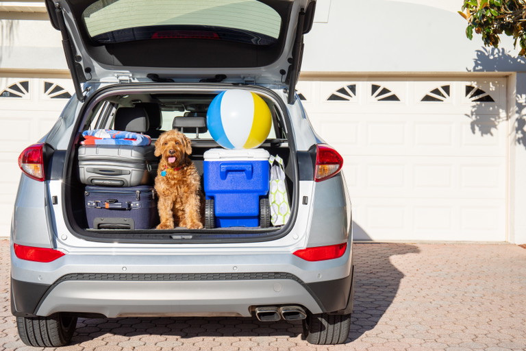 Hundeurlaub mit dem Auto ist oft entspannter als mit anderen Verkehrsmitteln.