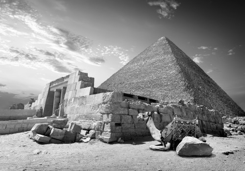 Die erste Testfahrt nach Ägypten und Syrien war ein voller Erfolg.