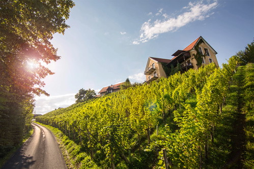 Der »Sattlerhof« bei Gamlitz